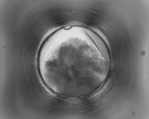 X0000098121053200805021152