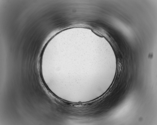 X0000098121054200805021152