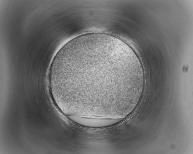 X0000098121056200805021152