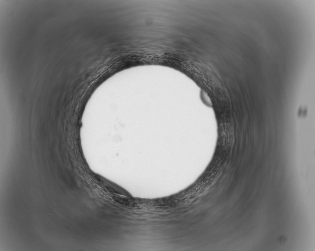X0000098121057200805021151