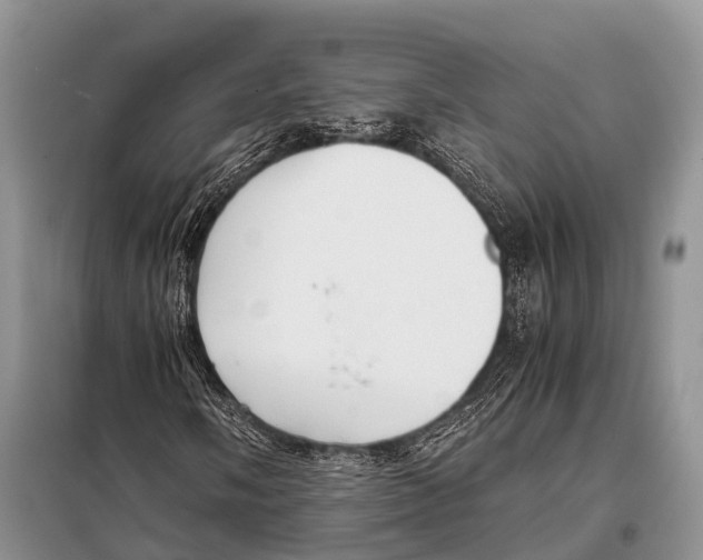 X0000098121058200805021151