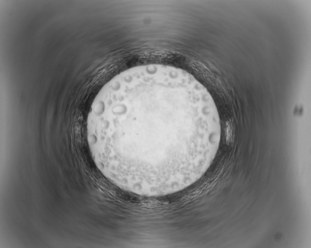 X0000098121059200805021151