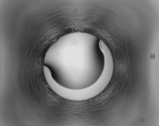 X0000098121060200805021151