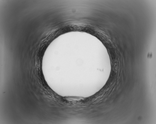 X0000098121061200805021151