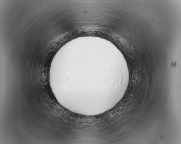 X0000098121062200805021151