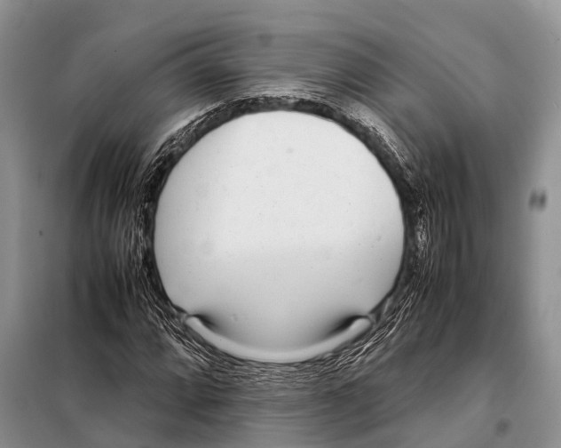 X0000098121064200805021151