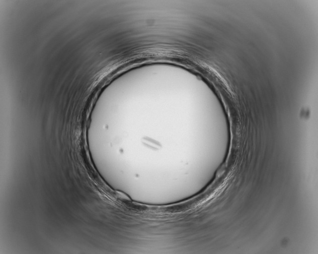 X0000098121065200805021151