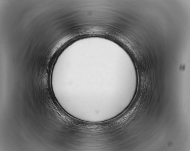X0000098121066200805021151