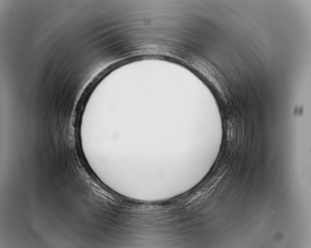 X0000098121068200805021151