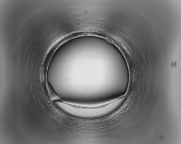 X0000098121069200805021151