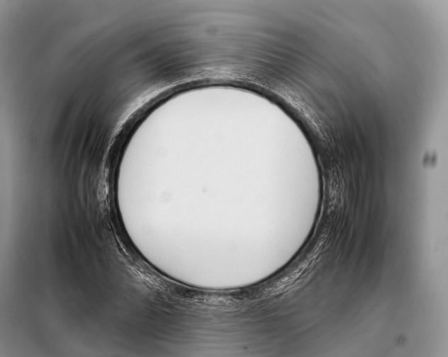 X0000098121070200805021151