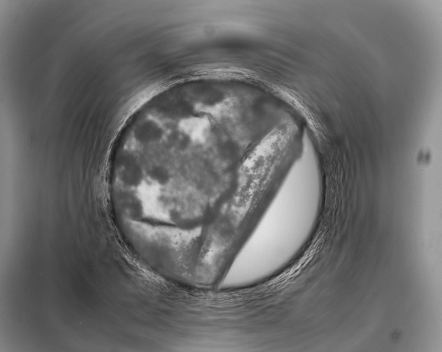 X0000098121071200805021151