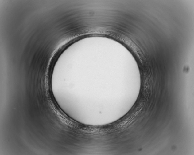 X0000098121072200805021151
