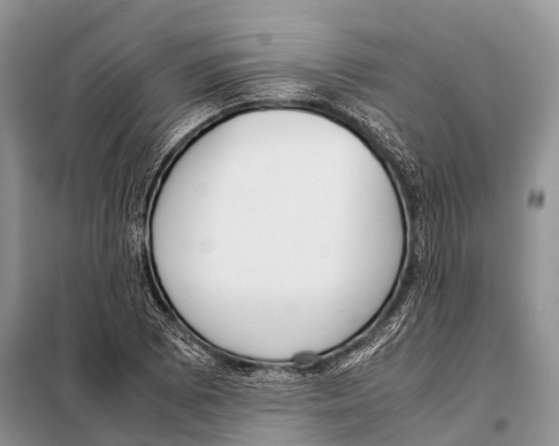 X0000098121073200805021151