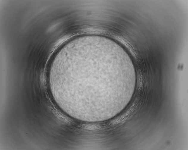 X0000098121074200805021151