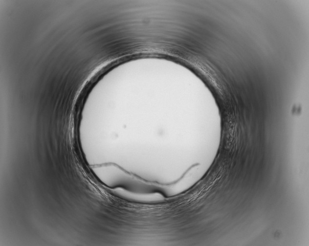 X0000098121076200805021151