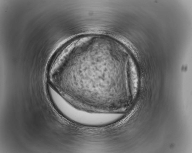 X0000098121077200805021151