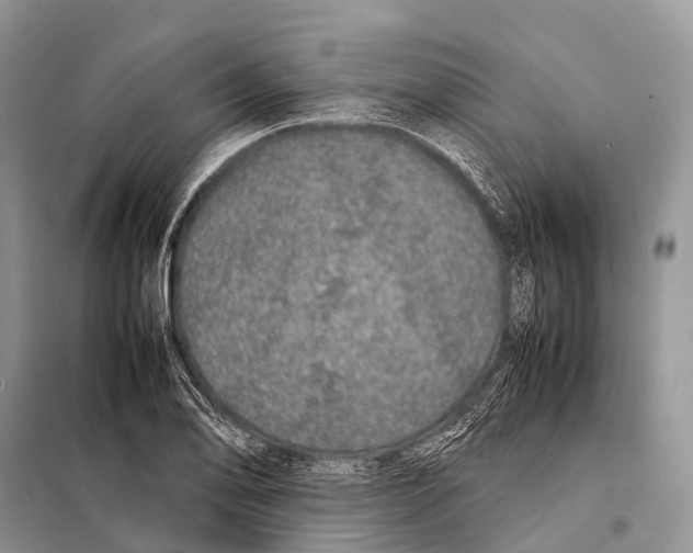 X0000098121078200805021151