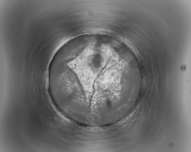 X0000098121079200805021151