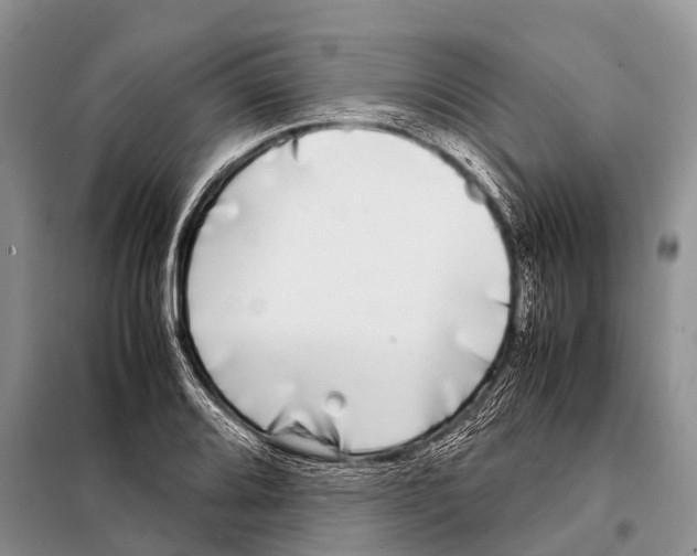 X0000098121080200805021151