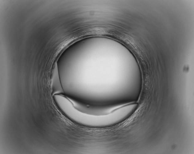 X0000098121081200805021151