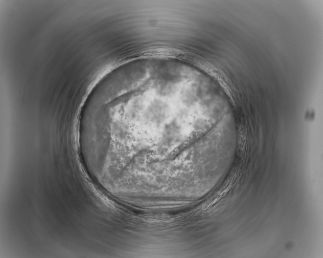 X0000098121083200805021150