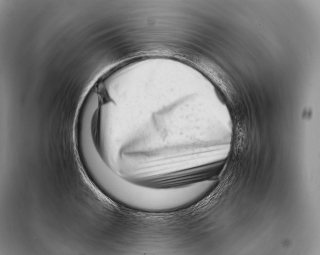 X0000098121084200805021150