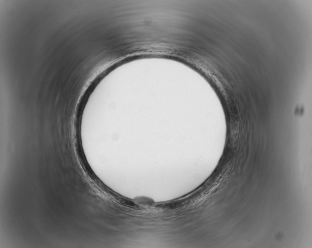 X0000098121085200805021150