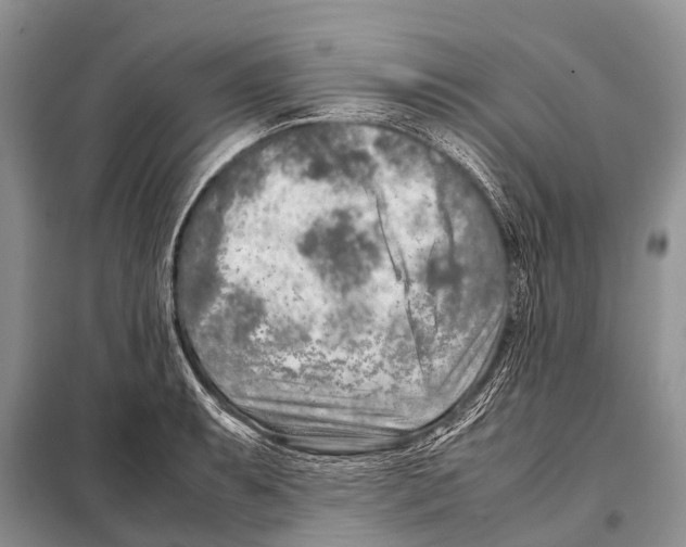 X0000098121087200805021150