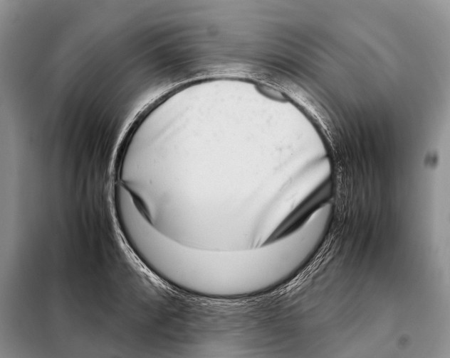 X0000098121088200805021150