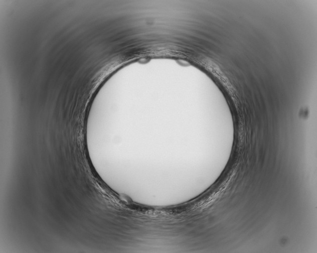 X0000098121089200805021150
