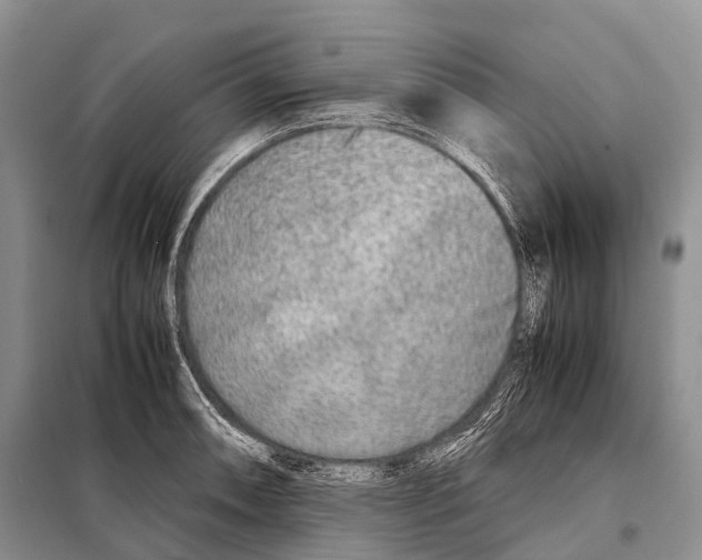 X0000098121090200805021150