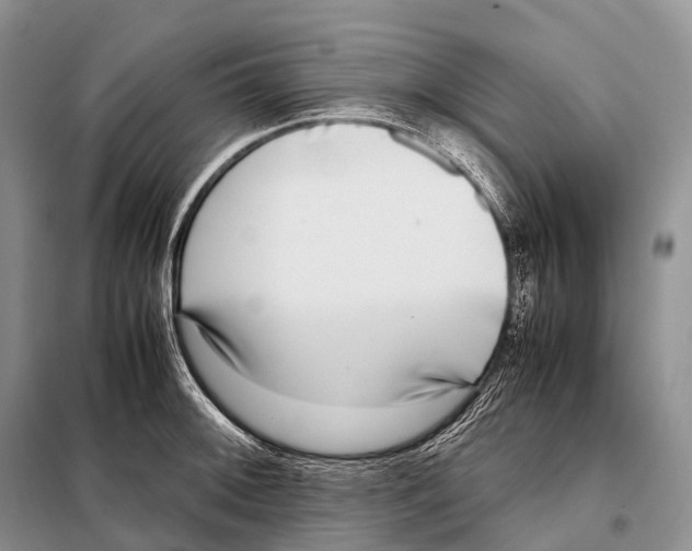X0000098121092200805021150