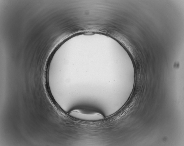 X0000098121093200805021150