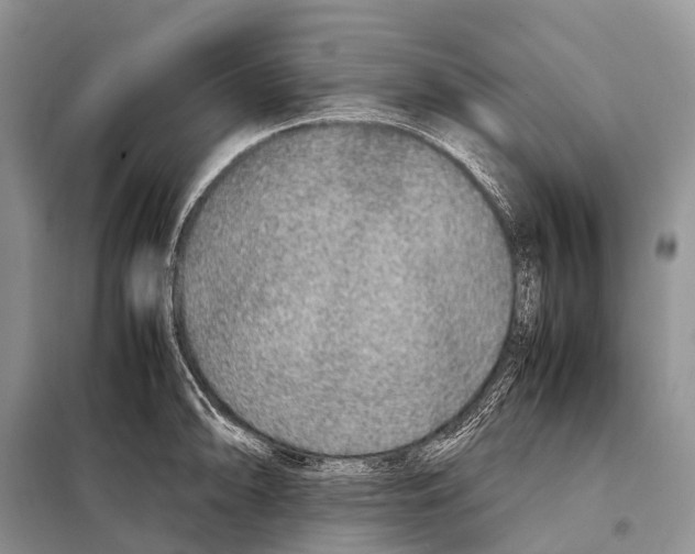 X0000098121094200805021150