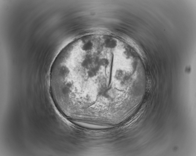 X0000098121095200805021150