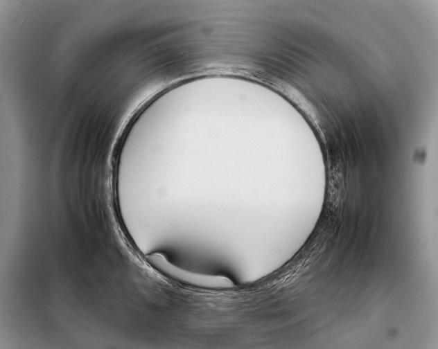 X0000098121096200805021150
