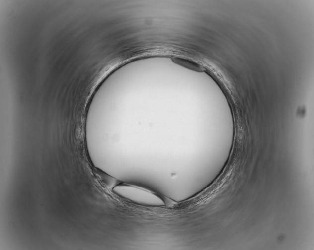 X0000098121097200805021150