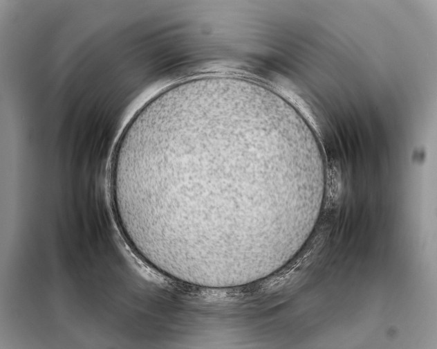 X0000098121098200805021150