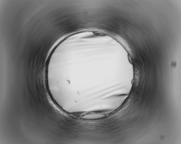 X0000098121100200805021150