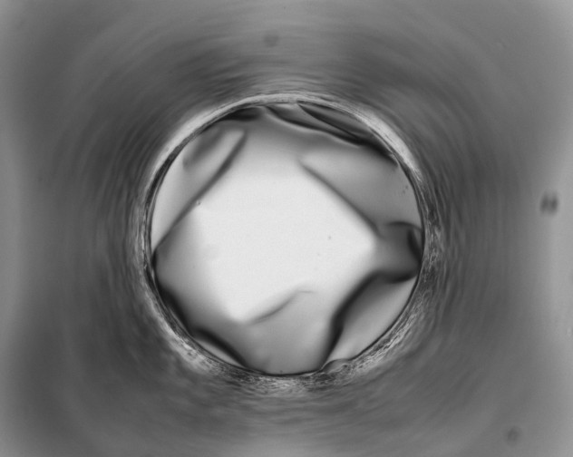 X0000098121101200805021150