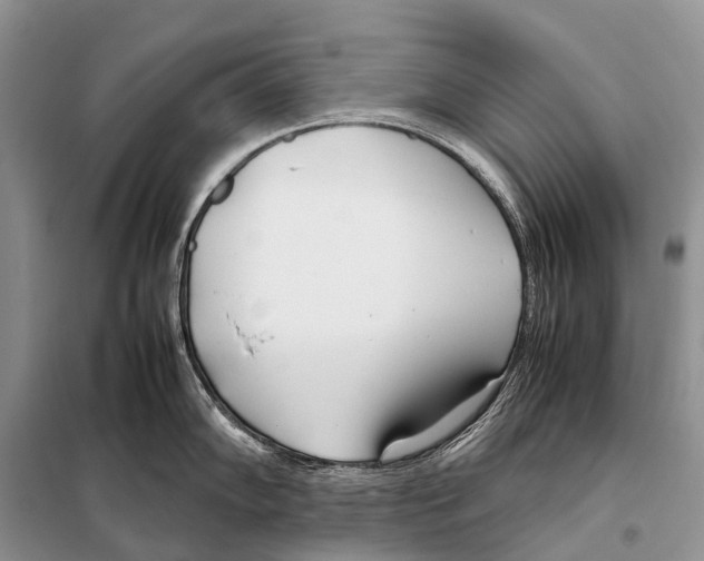X0000098121102200805021150