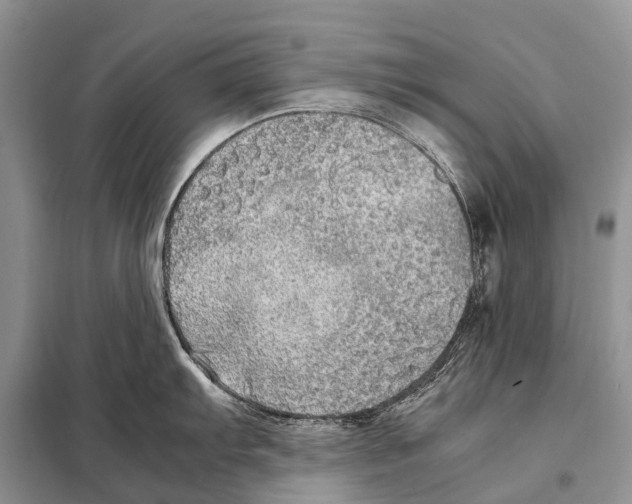 X0000098121103200805021150