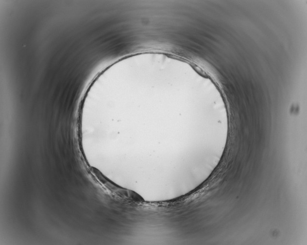 X0000098121104200805021150