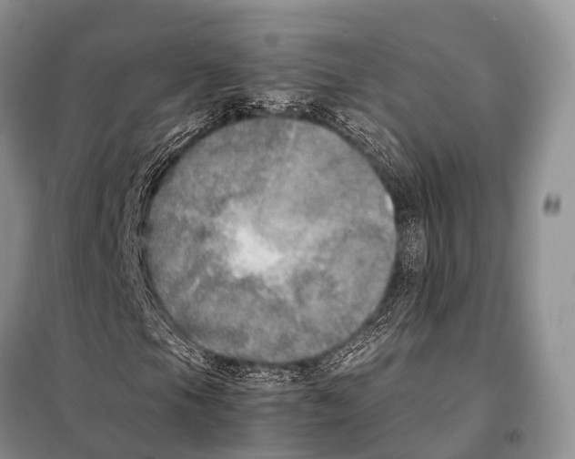 X0000098121105200805021149