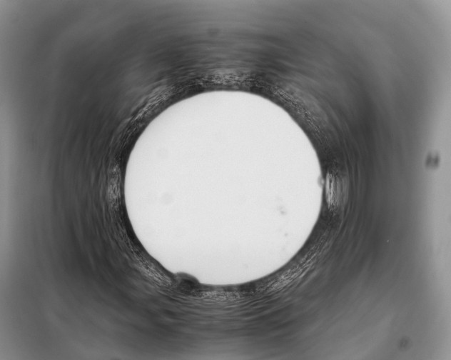 X0000098121107200805021149