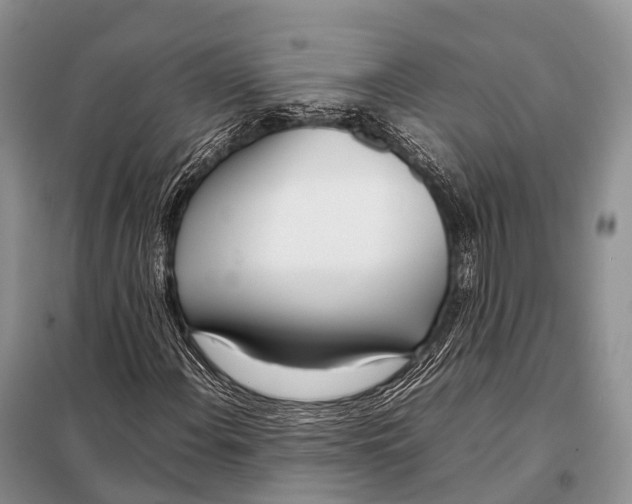 X0000098121108200805021149