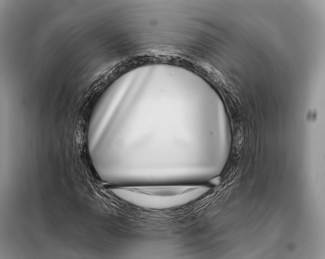 X0000098121110200805021149