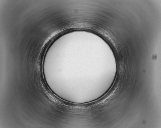 X0000098121114200805021149