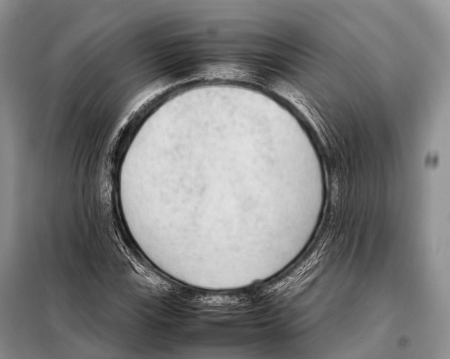 X0000098121115200805021149